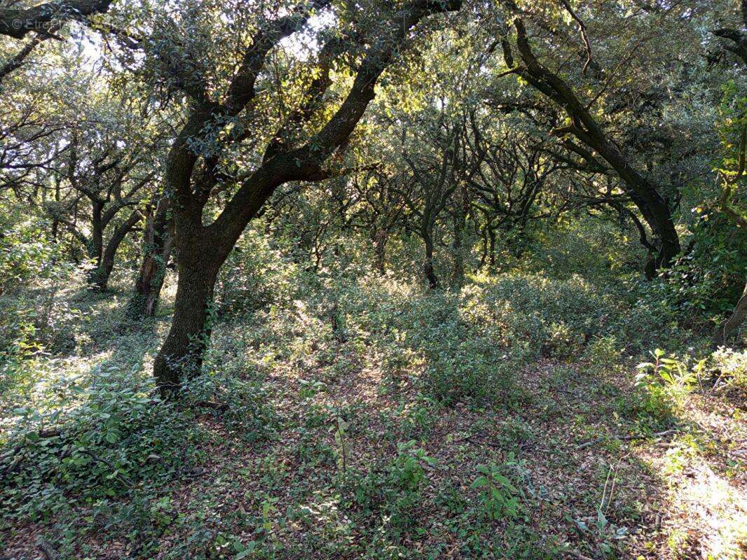 Maison à MONTSEGUR-SUR-LAUZON