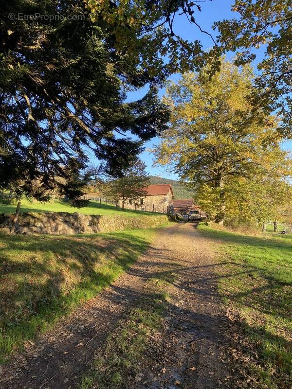 Maison à AUGEROLLES