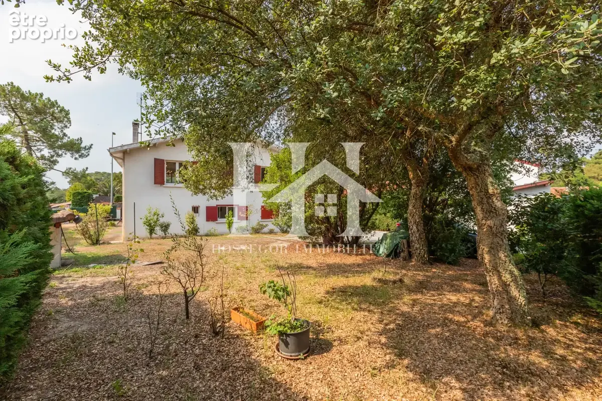Ensemble immobilier à fort potentiel  à Hossegor - photo 22