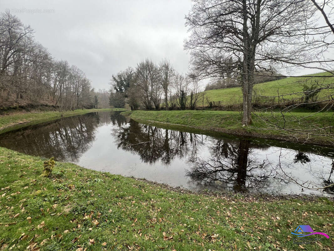 Terrain à SAINT-PRIEST-LA-MARCHE