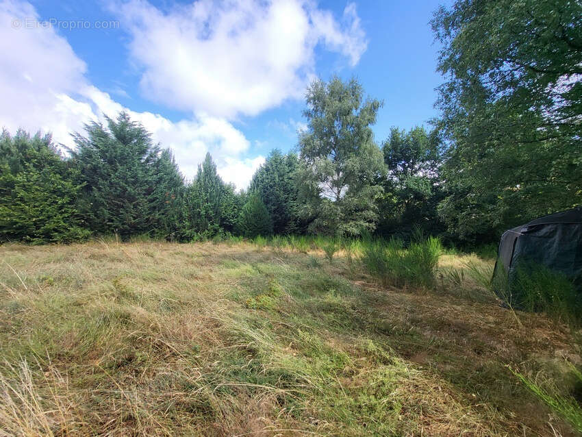 Maison à SAURET-BESSERVE