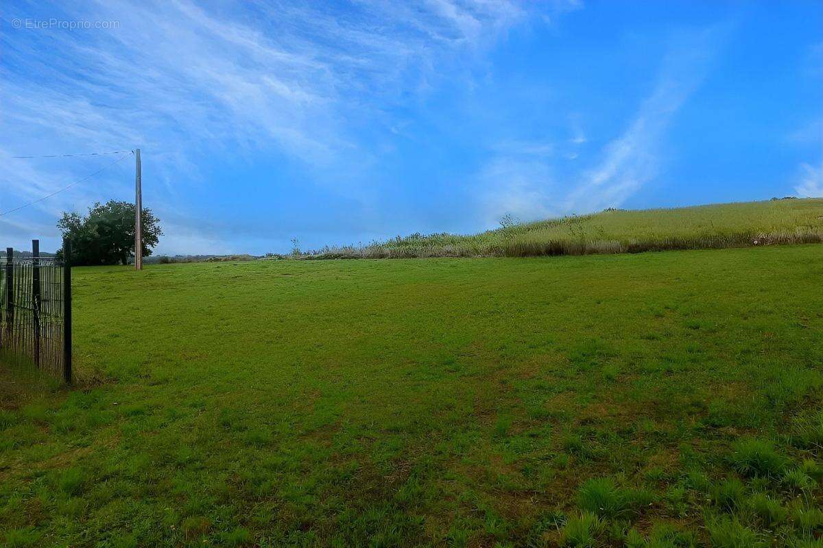 Terrain à LA SAUZIERE-SAINT-JEAN