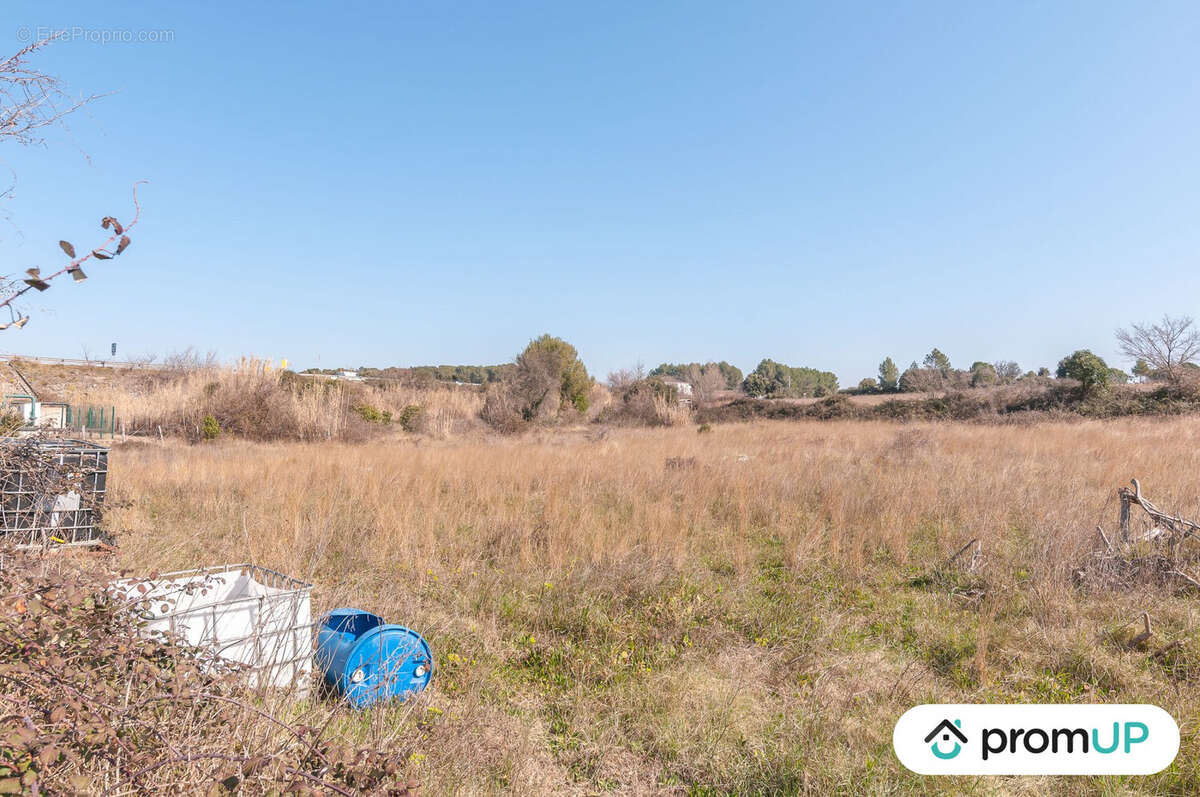 Terrain à LUNEL-VIEL