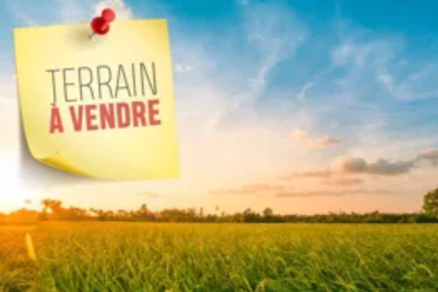 Terrain à TOURBES