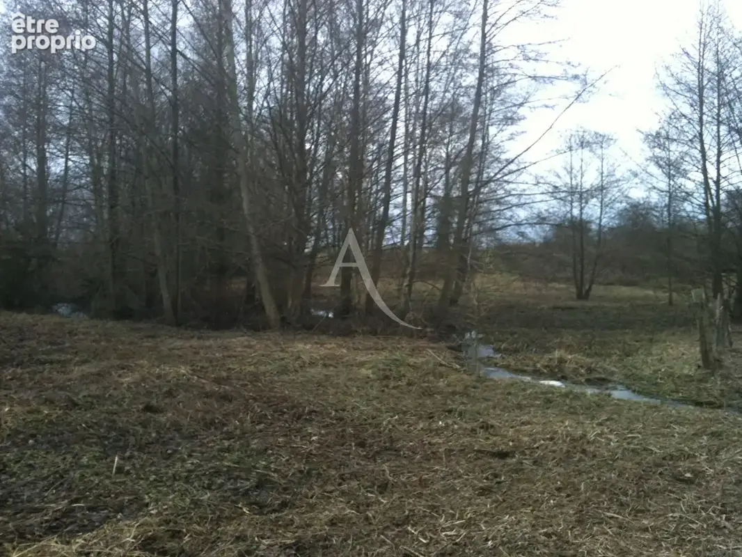 Terrain de loisirs à 5min de Gournay-en-Bray - photo 5