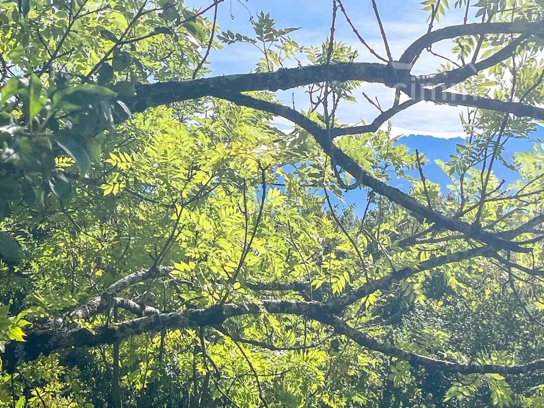 Terrain à LA TERRASSE