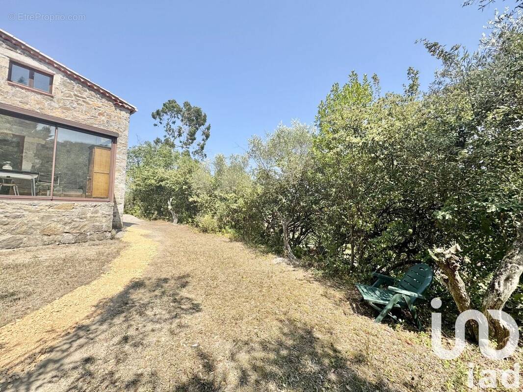 Photo 1 - Maison à SAINT-AMBROIX