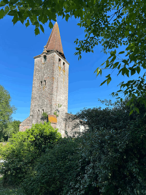 Terrain à PUJO-LE-PLAN