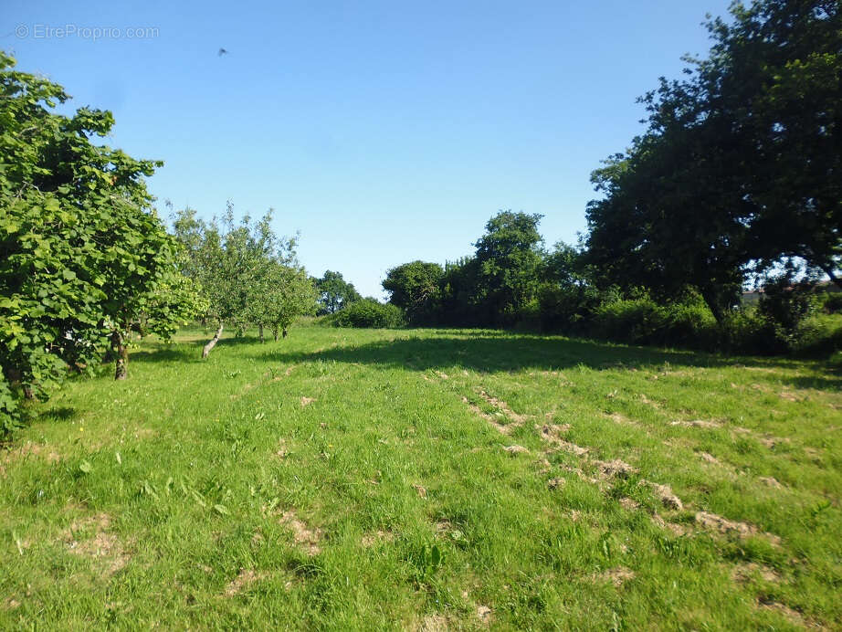 Maison à NIEUL-LE-DOLENT