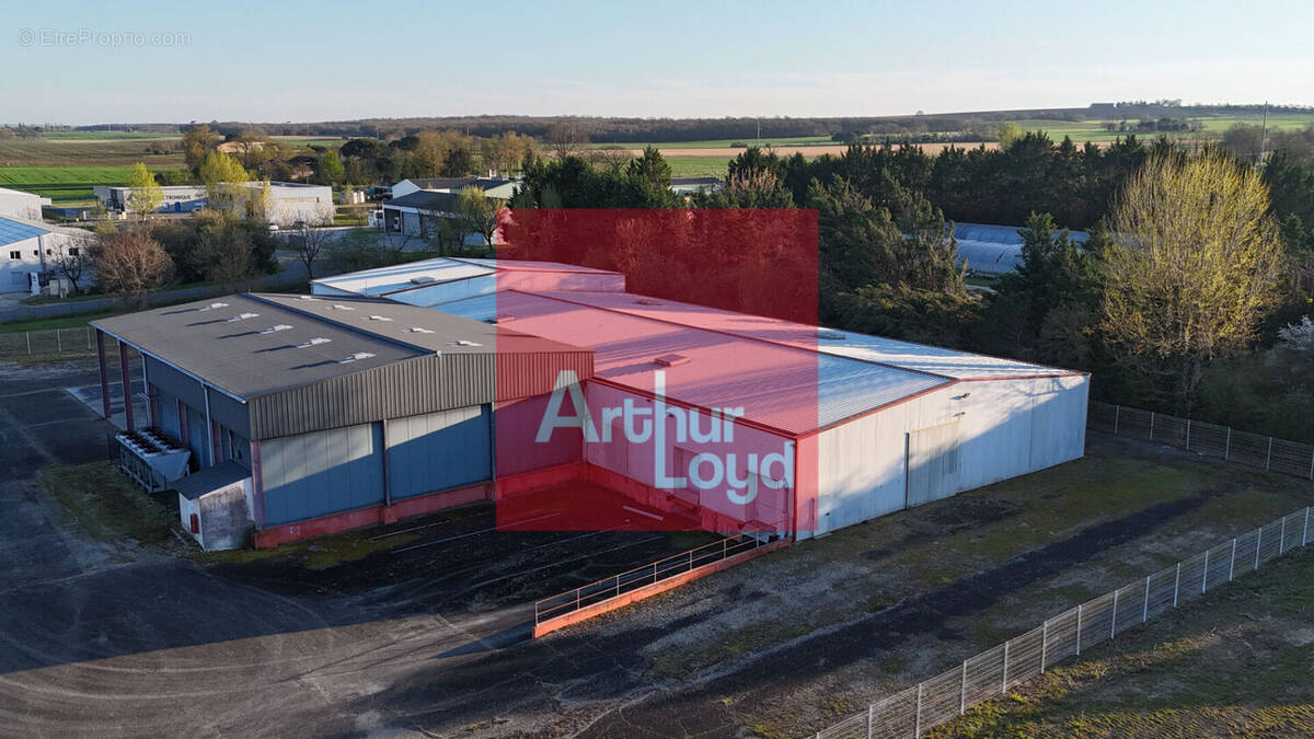 Commerce à LECTOURE