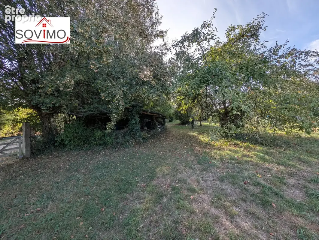 Authentique maison de campagne indépendante avec gîte, piscine et grand terrain en face - photo 48