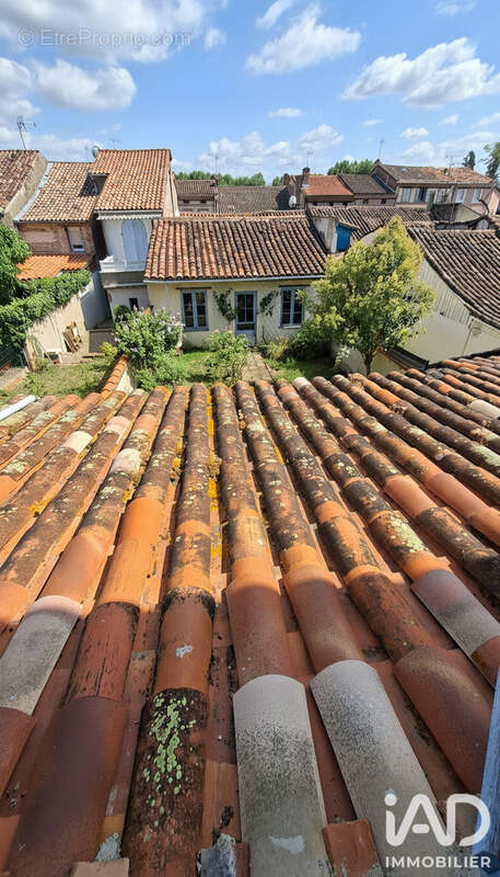 Photo 9 - Maison à MOISSAC