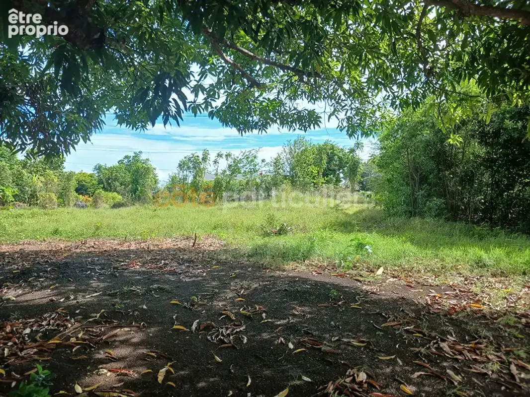 Terrain à SAINTE-ANNE