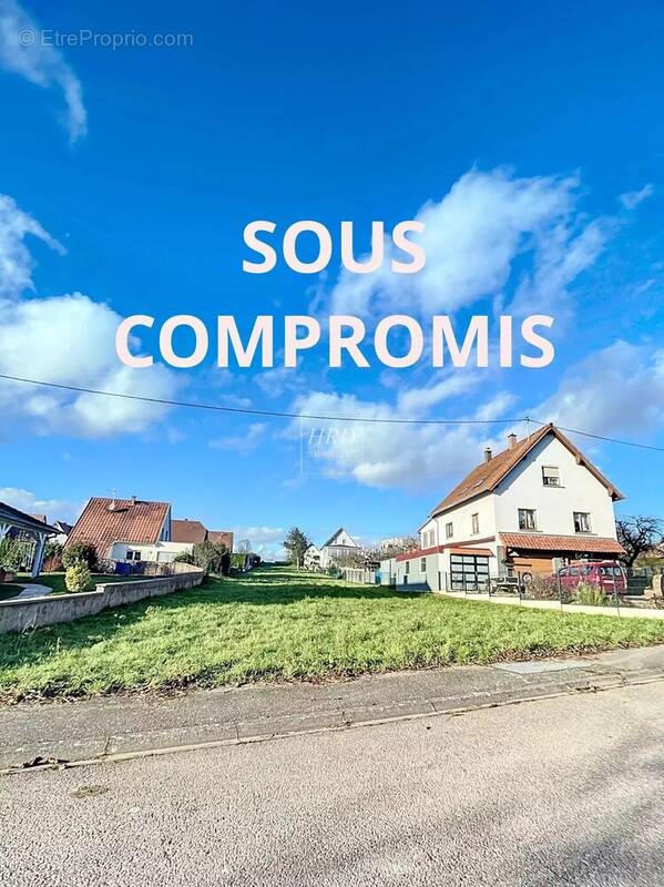 Terrain à WITTERSHEIM