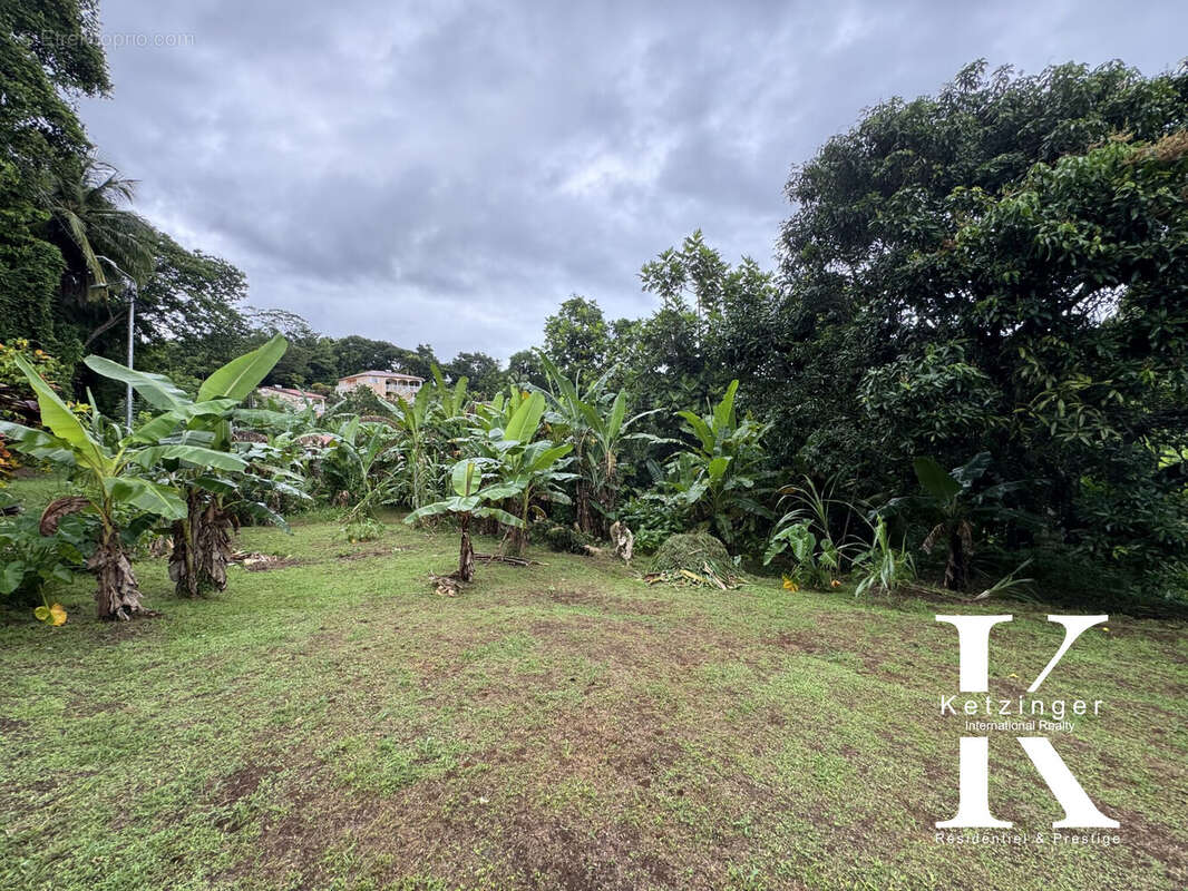 Terrain à LA TRINITE