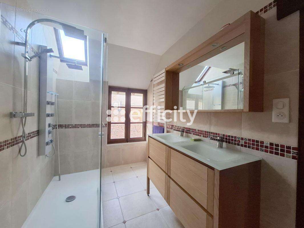Maison 349 m² à Nogent-Le-Rotrou  - photo 19