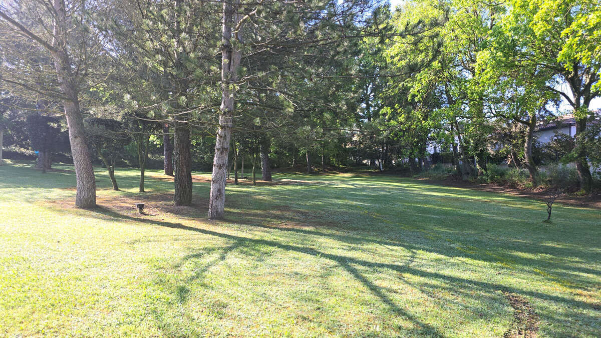 Terrain à VERNEGUES