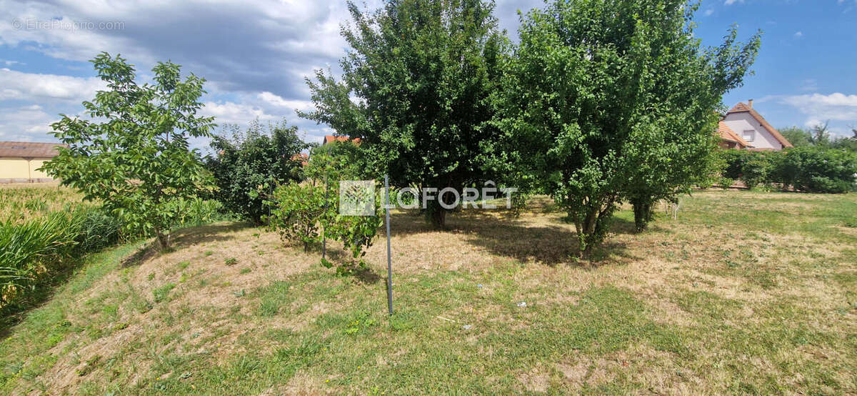 Maison Krautergersheim 4 pièces 97 m2 - photo 9