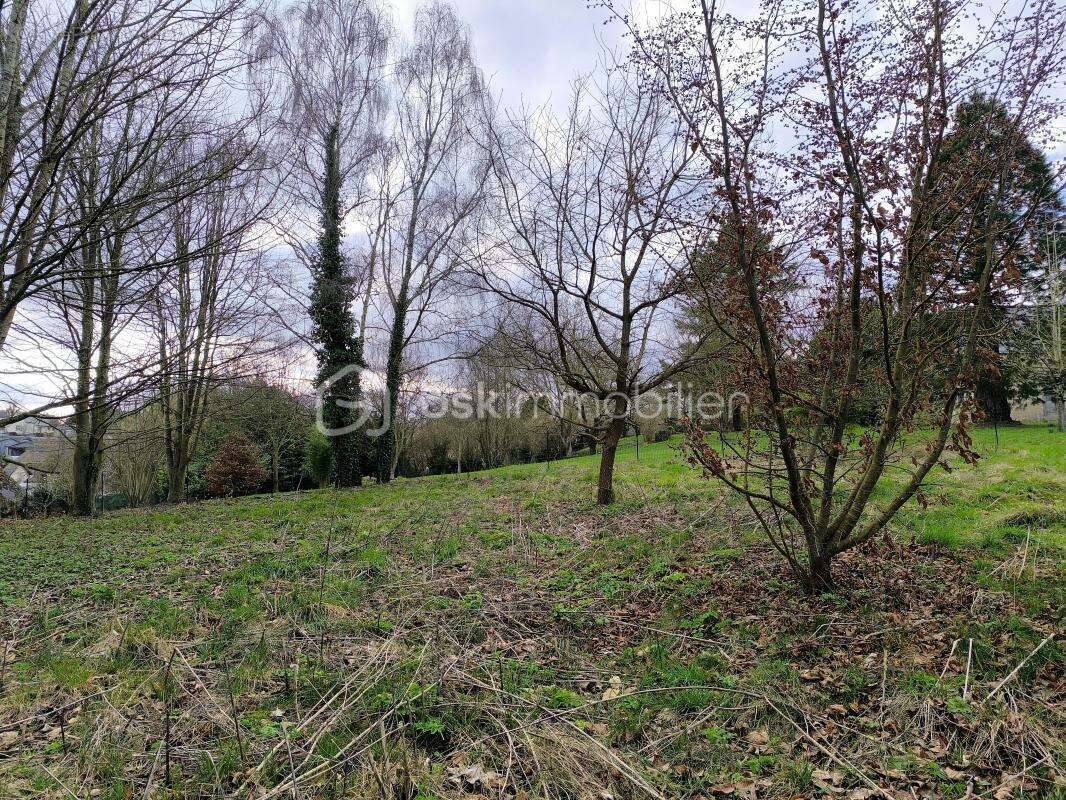 Terrain à LE GRAND-LUCE