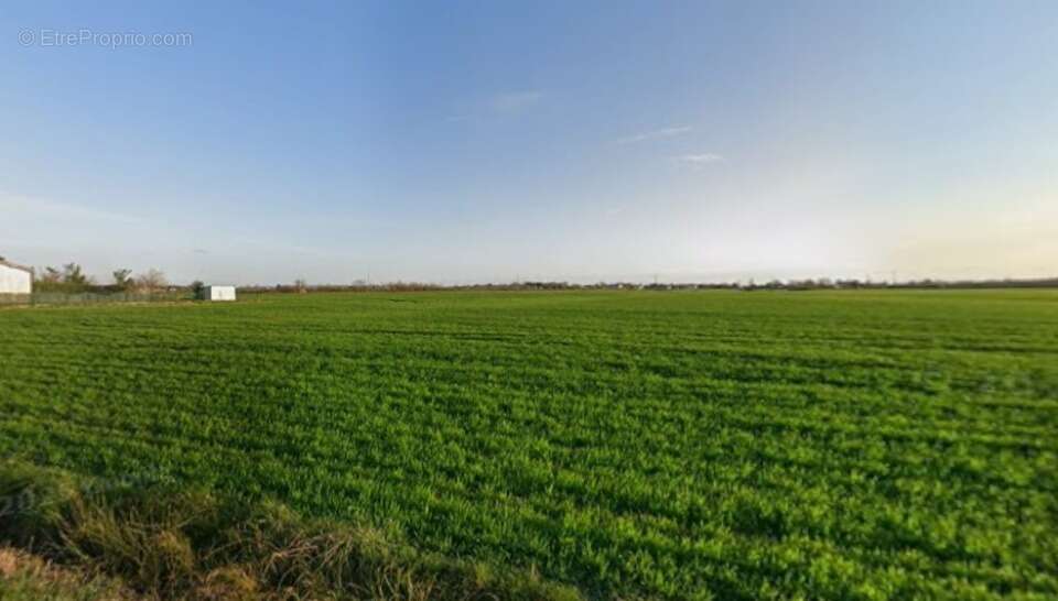 Terrain à LAMASQUERE