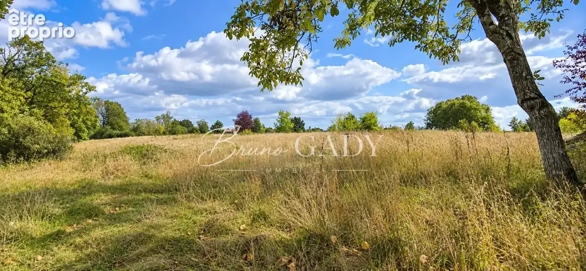 Ensemble immobilier en pierre de deux maisons à restaurer l'intérieur, sur parcelles d'environ 3 hectares - photo 15