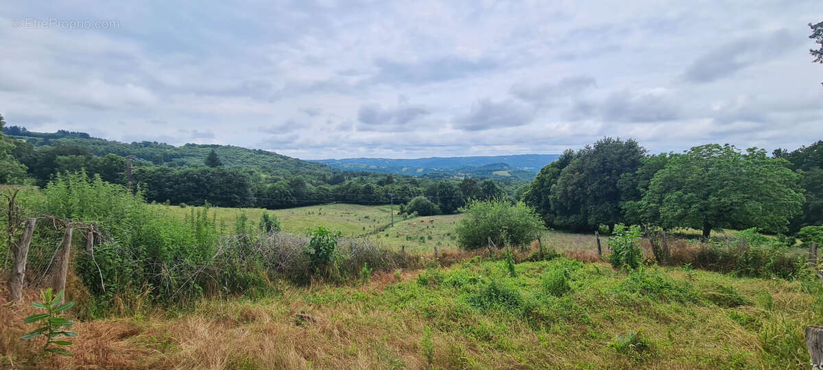 Maison à PALAZINGES