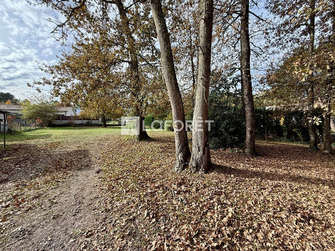 Terrain à SAINT-MICHEL-DE-RIEUFRET