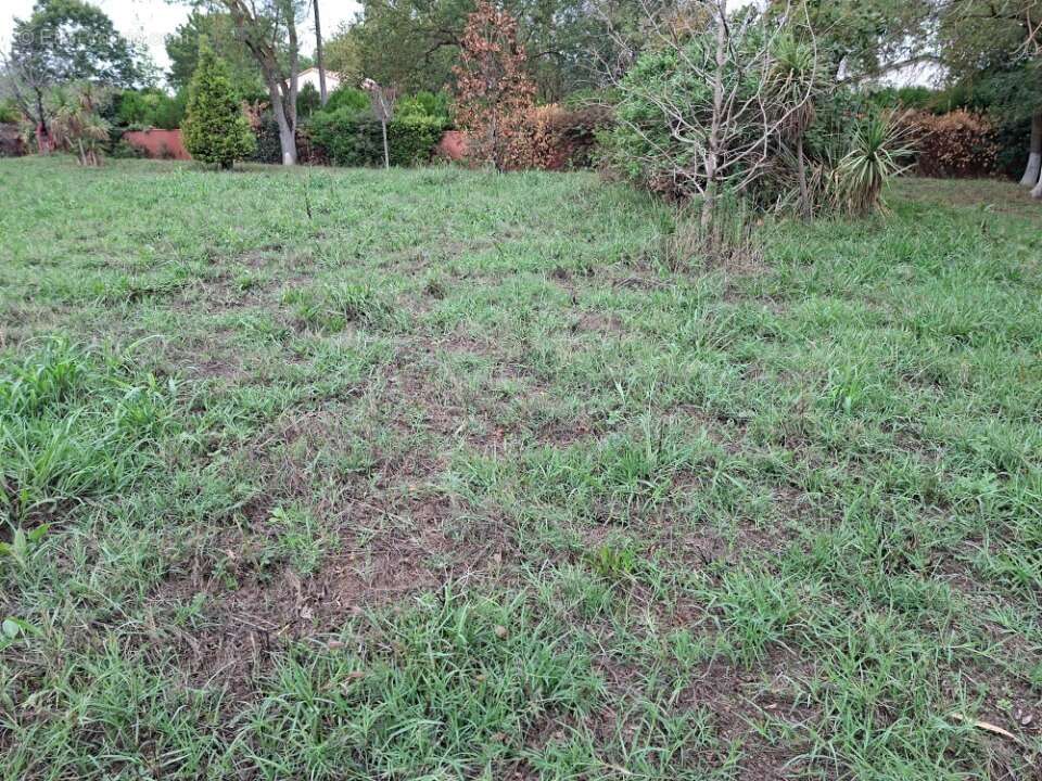 Terrain à LA SALVETAT-SAINT-GILLES