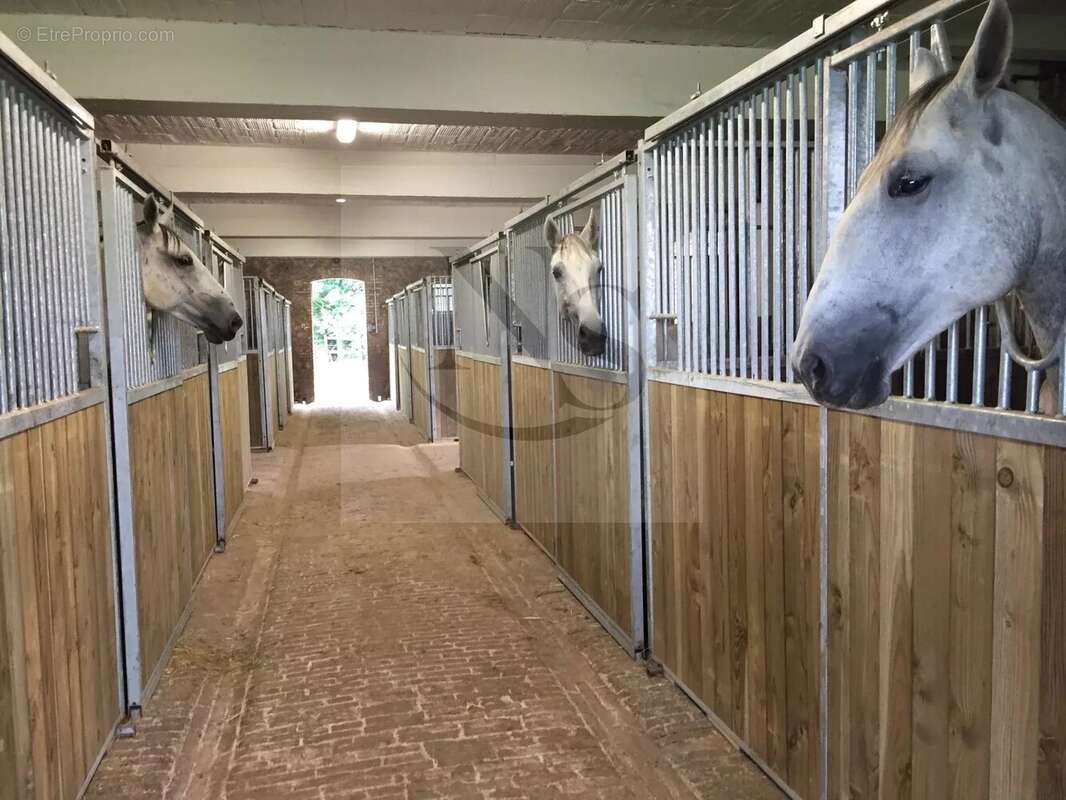 Maison à FORGES-LES-EAUX