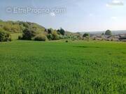 Terrain à BOULLAY-LES-TROUX