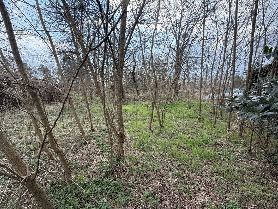 Ferme à rénover sur un terrain de 527 m2 - photo 4