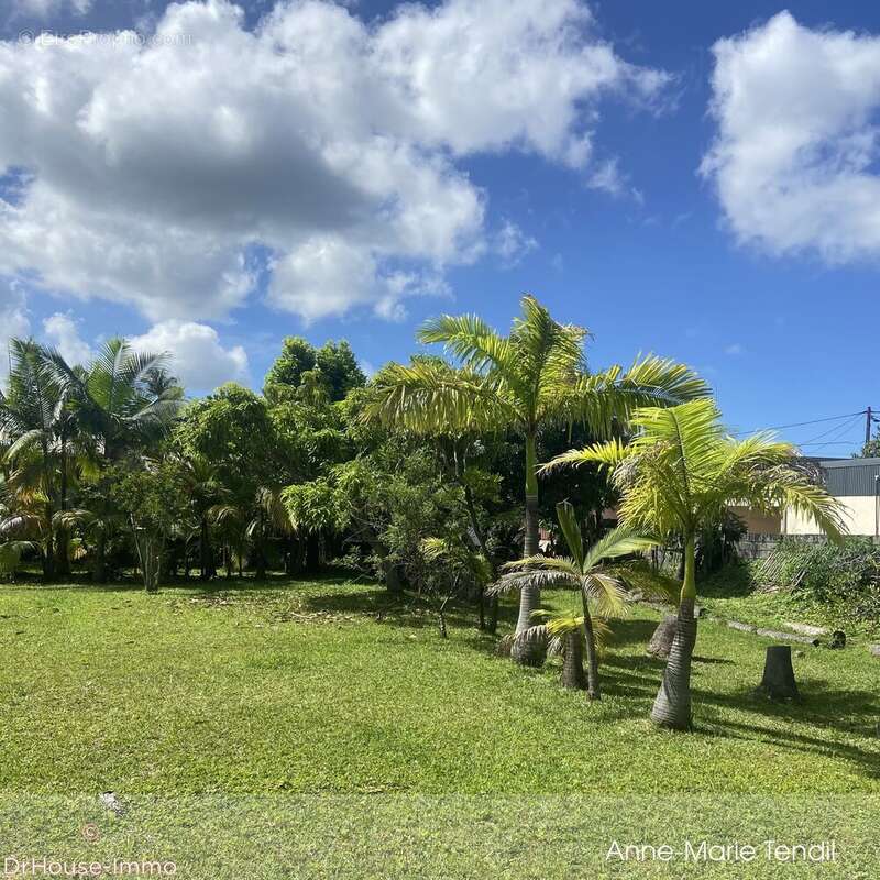 Terrain à LE TAMPON