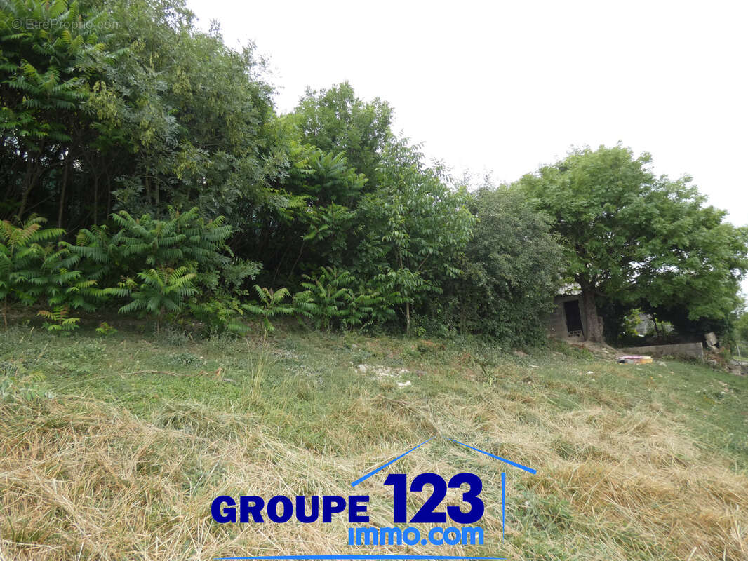 Habitable de suite - photo 19