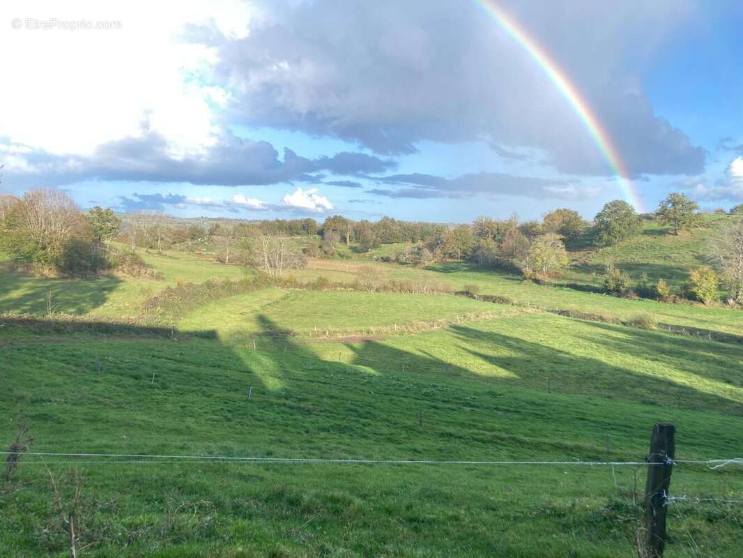 Photo 2 - Maison à LA MONSELIE