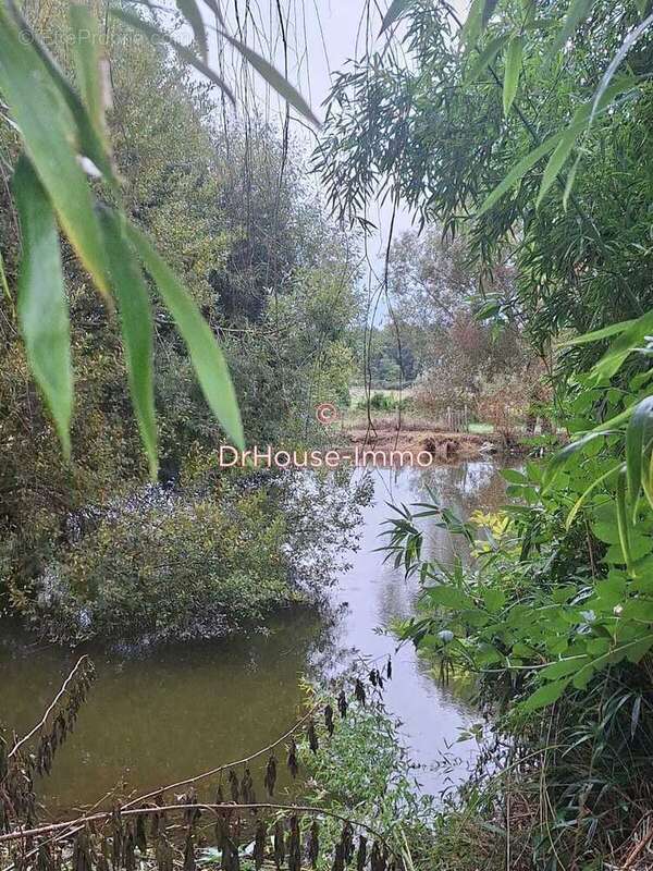 Maison à PARIGNE-L&#039;EVEQUE