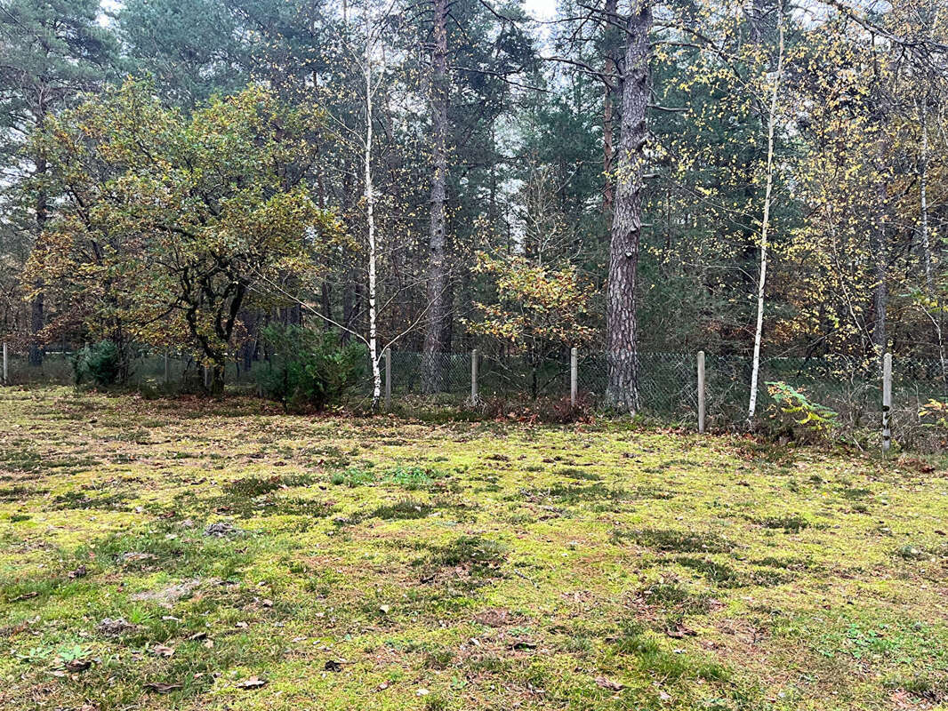 Maison à VIENNE-EN-VAL