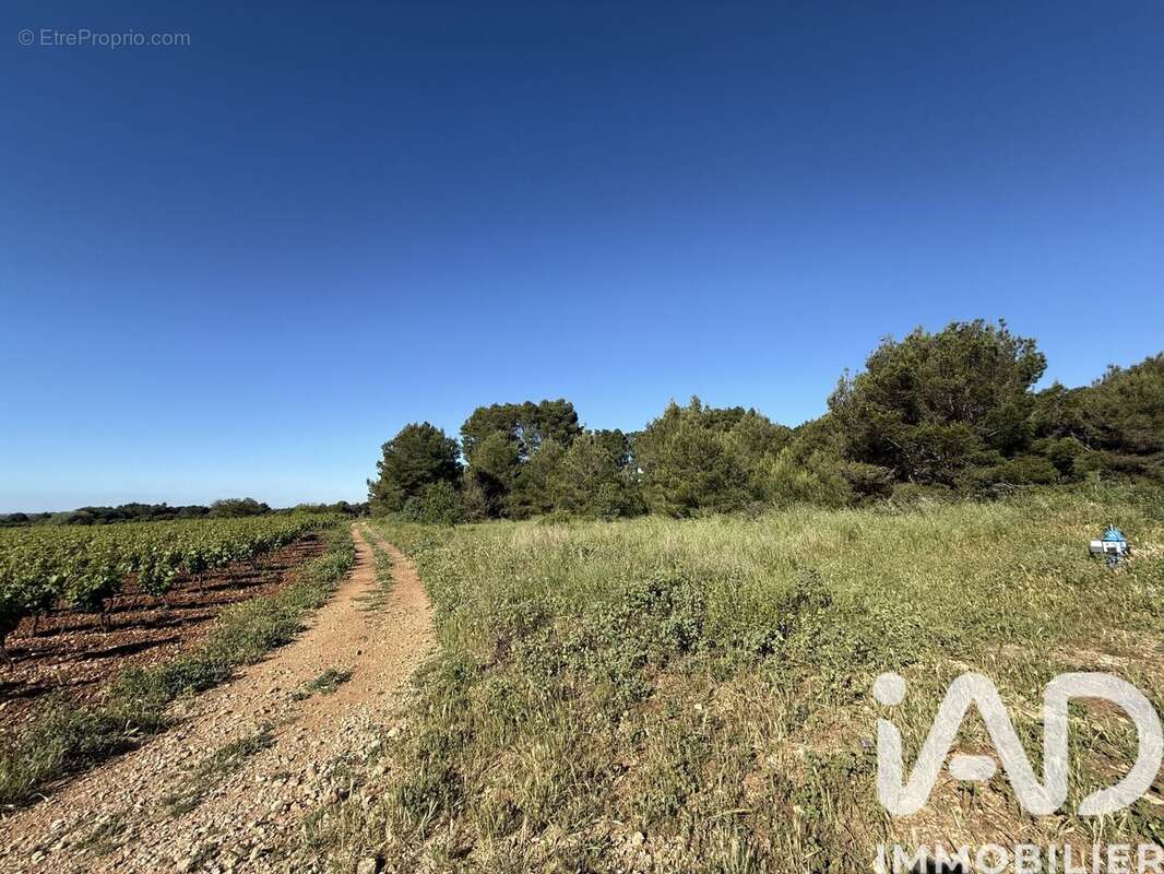 Terrain 8424 m² à Pinet  - photo 4