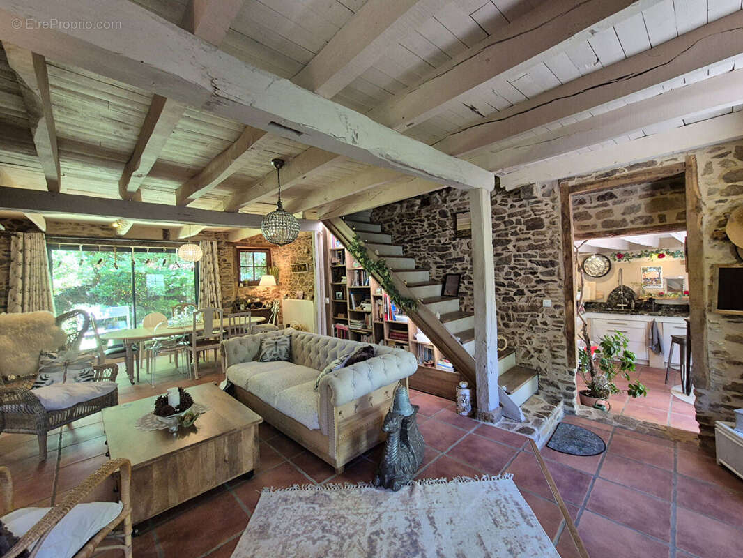 CORRÈZE. CHAMBOULIVE. Maison en pierre avec 6 chambres, piscine, 2 garages, abri voiture, entourée de jardins de 5 498 m² - photo 4