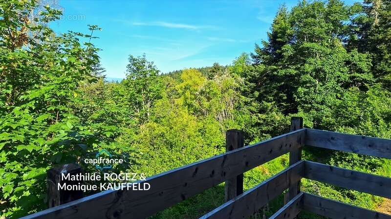 Saint-Pierre-la-Bourlhonne – Chalet 56 m² avec vue, à 4 min du col du Béal - photo 2