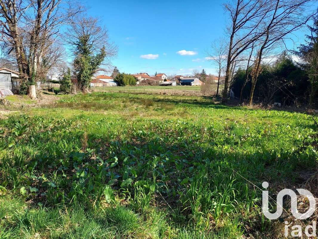 Photo 2 - Terrain à ROUMAZIERES-LOUBERT