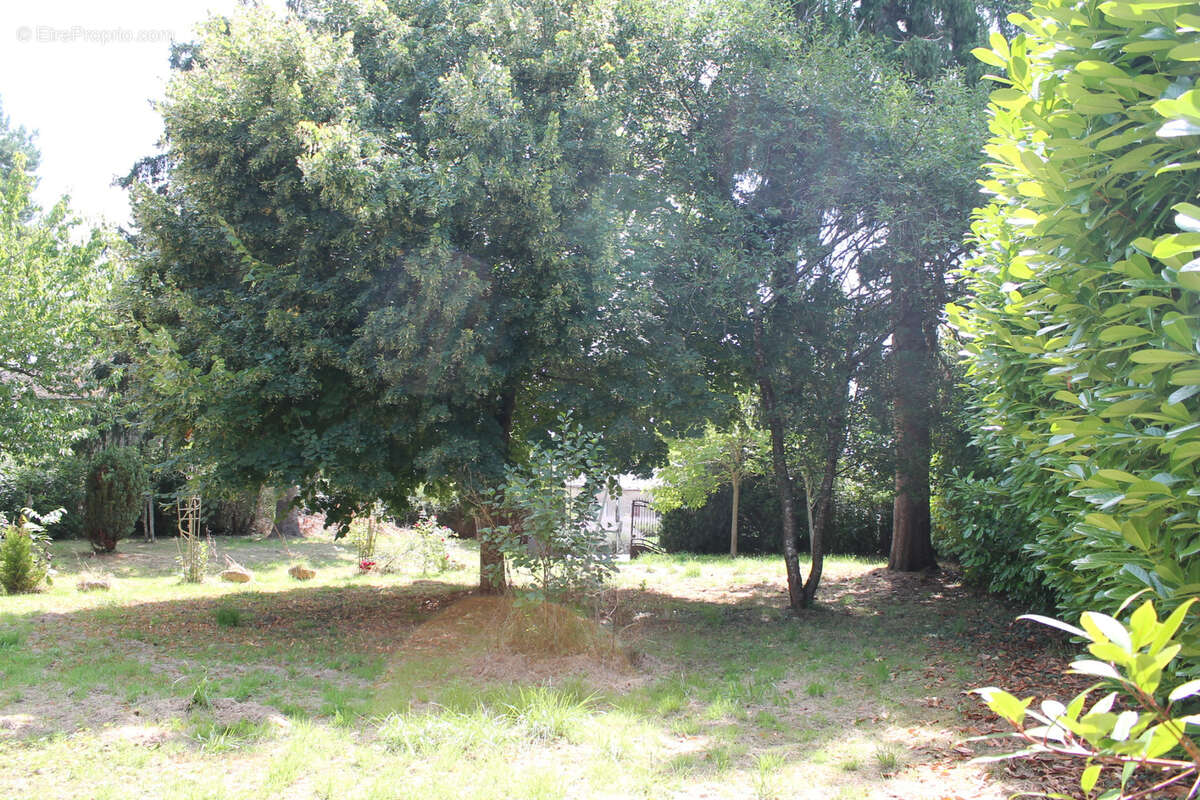 St Palais   Maison spacieuse  sur 1612 m2 dans le village. - photo 19