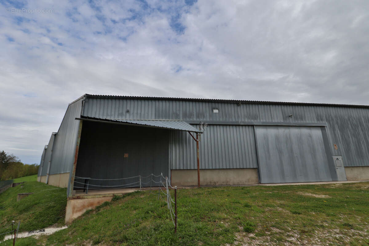 Hangar villacerf - photo 4