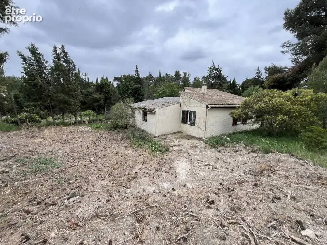 Maison 3 pièces 63 m² à vendre à Pouzols-Minervois (11120) - photo 3