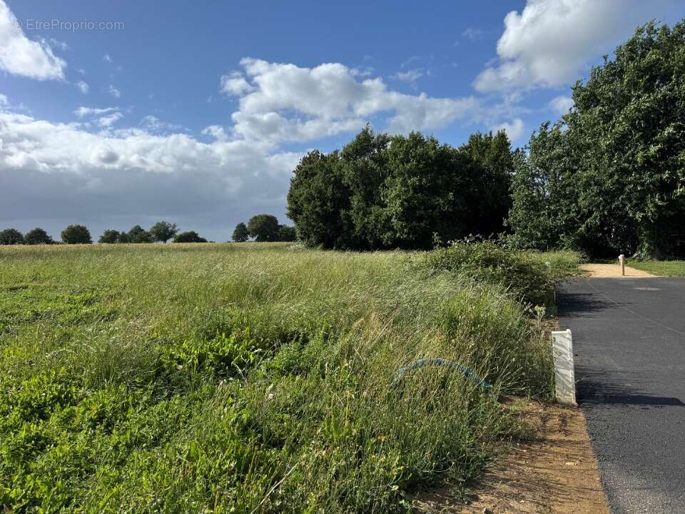 Terrain 391 m² à Laigne  - photo 2