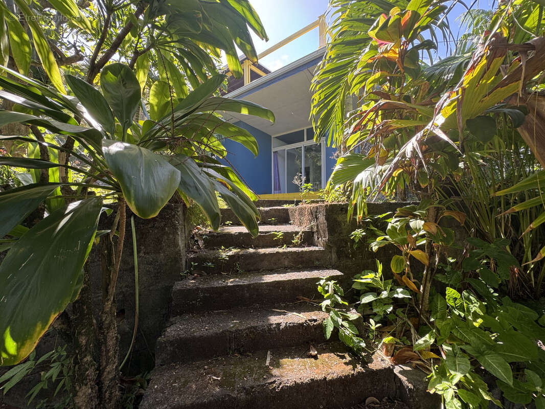 Maison à SAINT-JOSEPH