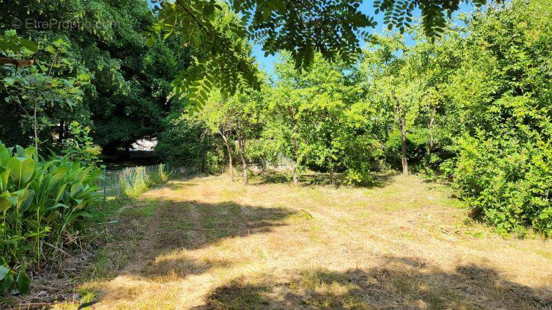 Terrain à THOUROTTE