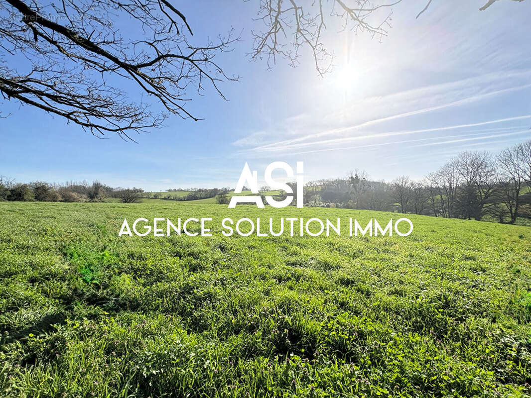 Terrain à ARGENTRE