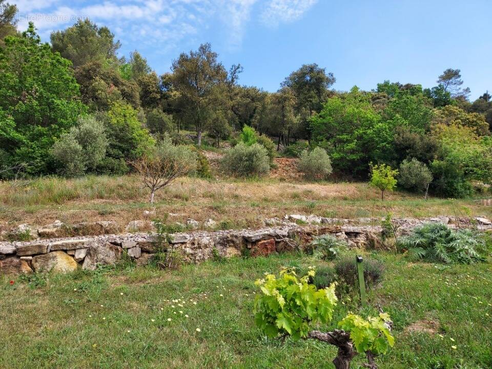 Terrain à FLASSANS-SUR-ISSOLE