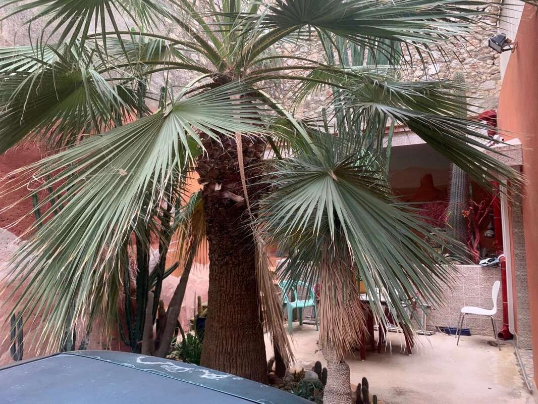 Maison à ARGELES-SUR-MER