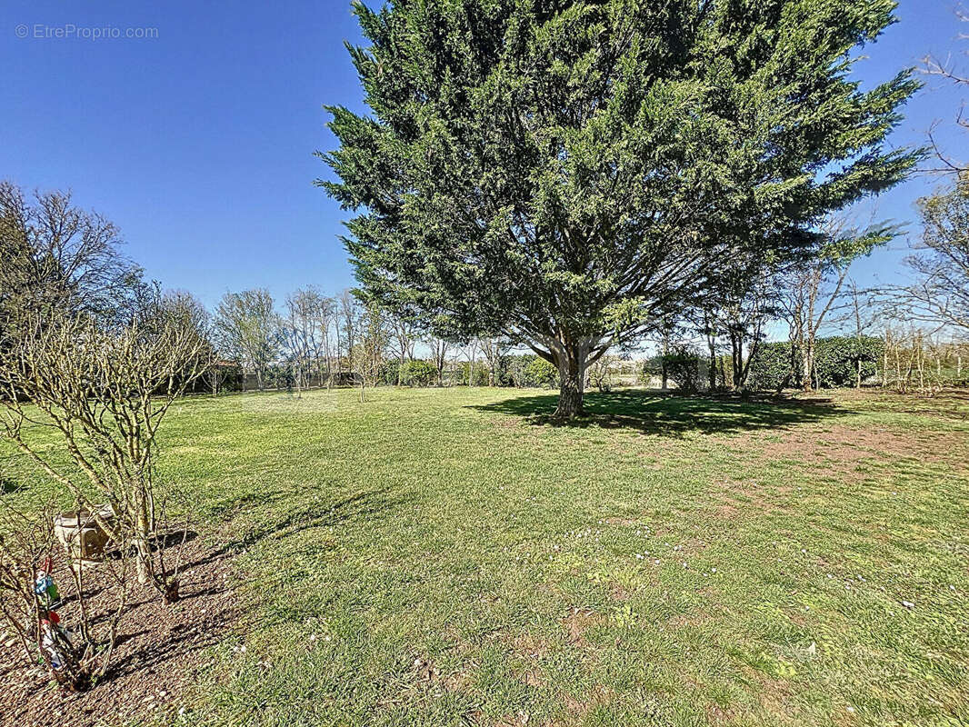 Maison à LA GRIMAUDIERE